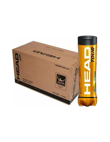 Head -Cajon Pote 4 Bolas Head Tour 570704