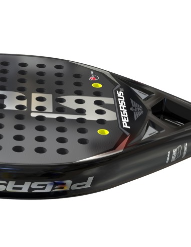 Siux -Siux Pegasus Graphene 1K Padel Racket