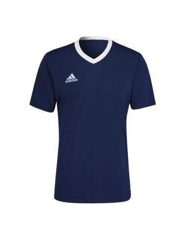 Adidas -Camiseta Adidas Ent22 H61736