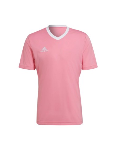 Adidas -Adidas Ent22 T-shirt H61736