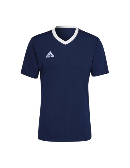 Adidas -Adidas Ent22 T-shirt H61736