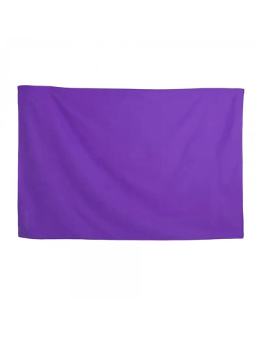 SOFTEE -Toalla Microfibra Softee Morado 140X70 cm