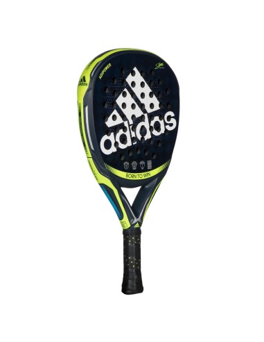 Adidas -Adidas Adipower 3.1 2022