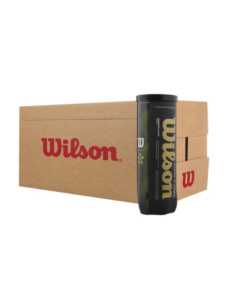 WILSON -Caixa com 24 bolas de padel speed Wilson Premier