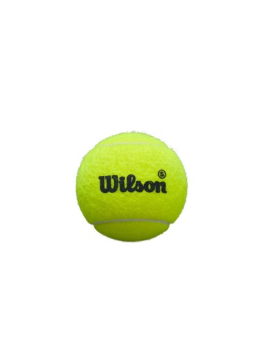WILSON -Caixa com 24 bolas de padel speed Wilson Premier