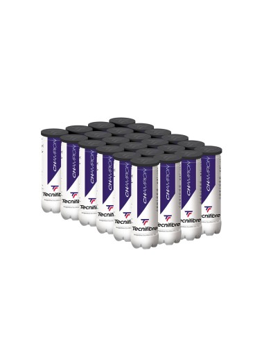 TECNIFIBRE -Caixa com 36 latas de 3 bolas Tecnifibre Champion