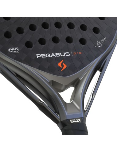 Siux -Siux Pegasus Pro 2026 Storm Gris