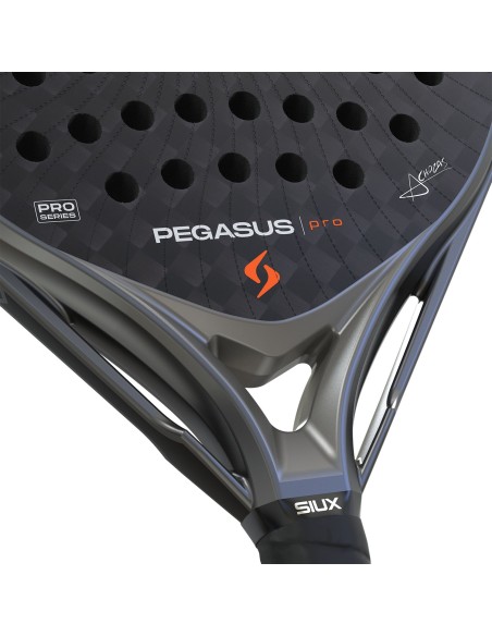 Siux -Siux Pegasus Pro 2026 Storm Grey