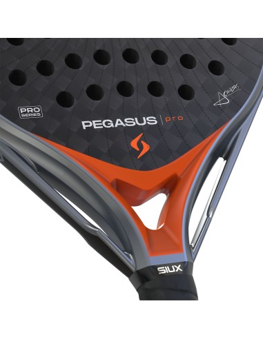 Siux -Siux Pegasus Elite 4