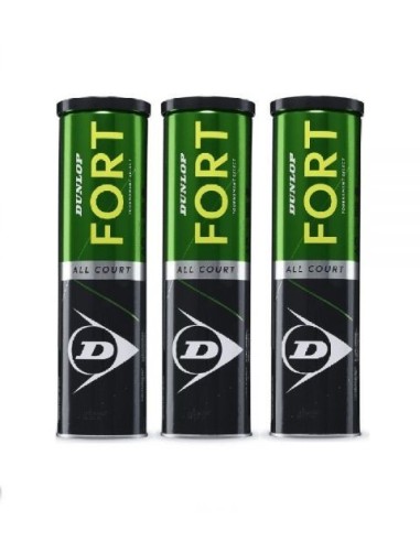 Dunlop -Can of 4 Dunlop Fort All Court Balls 601316