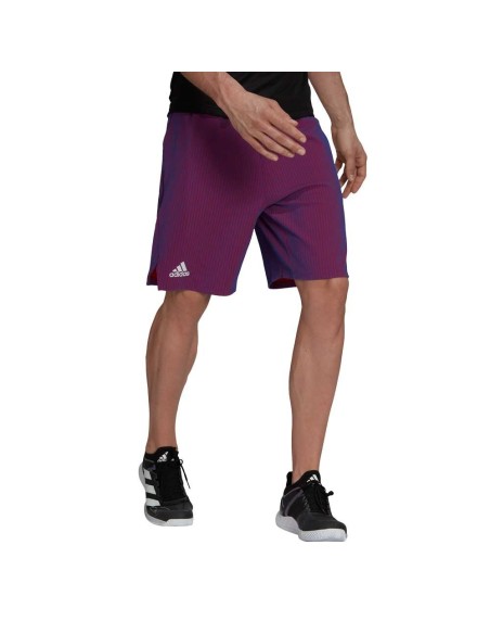 Adidas -Shorts T Nl Pb Adidas Gq8926
